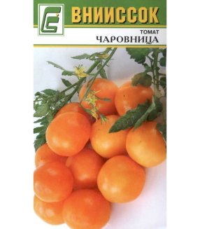 Томат Чаровница
