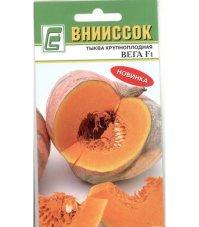 Тыква Вега F1