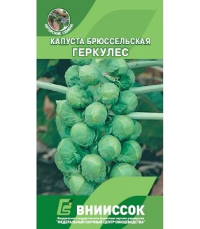 Капуста брюссельская Геркулес