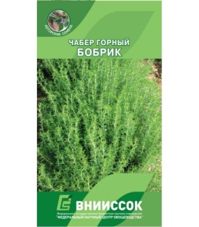 Чабер огородный Бобрик