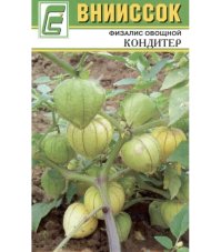 Физалис овощной Кондитер вниисок