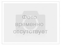 Сирень обыкновенная Русь Syringa vulgaris Rus