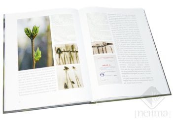Книга Время сирени
