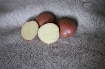 Сорт Кумач картофель семенной