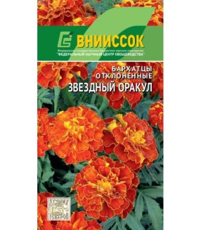 Бархатцы Звездный оракул