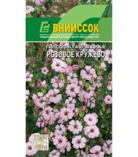 Гипсофила Розовое кружево