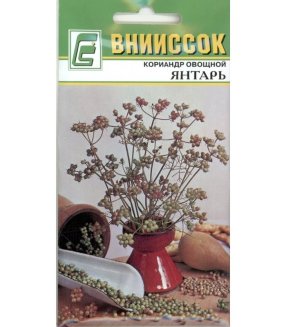 Кориандр (кинза) Янтарь