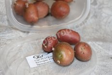 Мини-клубни картофель Ред Скарлетт