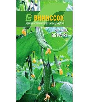 Огурец Вера F1 внииссок