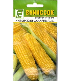 Кукуруза сахарная Кубанский Сахар внииссок
