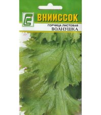 Горчица салатная Волнушка
