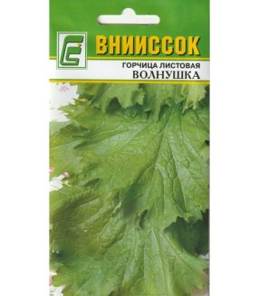 Горчица салатная Волнушка