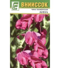 Чина танжерская Анна