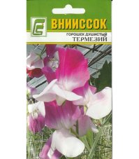 Горошек душистый Термезий