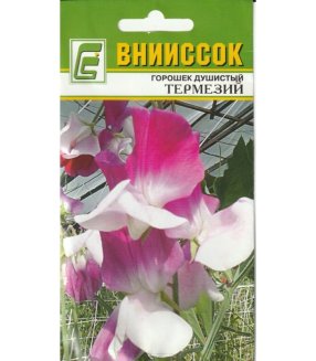 Горошек душистый Термезий