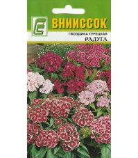 Гвоздика турецкая Радуга