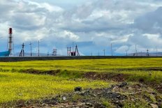 Семена трав для озеленения и рекультивации