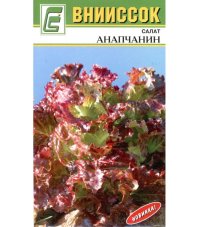 Салат листовой Анапчанин