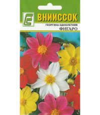 Георгина однолетняя Фигаро