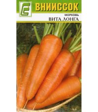 Морковь Вита Лонга