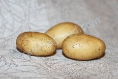 мини клубни Удача