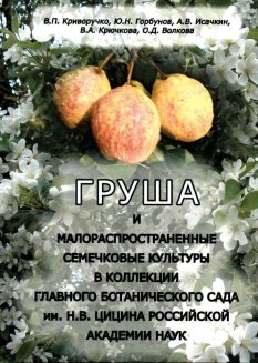 Груша и малораспространенные семечковые культуры в коллекции Главного ботанического сада им. Н.В. Цицина Российской академии наук.
