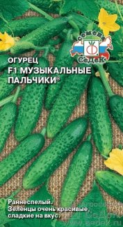 Огурец Музыкальные пальчики F1
