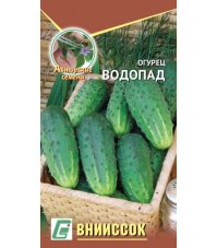 Огурец Водопад ВНИИССОК