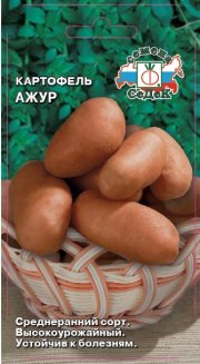 Картофель Ажур ботанические семена 0,02