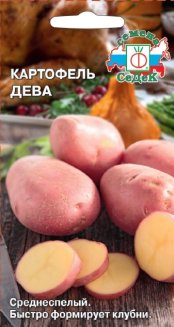 картофель Дева ботанические семена 0,02