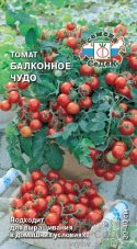 Томат Балконное чудо F1 седек