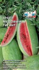Арбуз Медовый Гигант Седек Citrullus lanatus Medoviy Gigant
