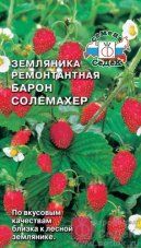 земляника Барон Солемахер мелкоплодная седек