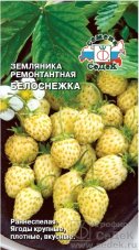 земляника Белоснежка мелкоплодная седек