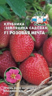 земляника Розовая мечта F1 седек