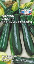 Кабачок Чёрный красавец седек