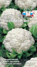 капуста Осенний Гигант седек