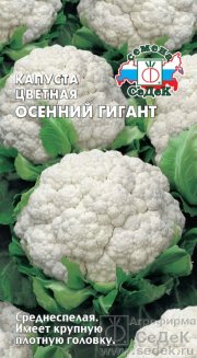 капуста Осенний Гигант седек