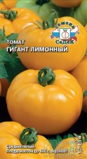 Томат Гигант лимонный седек