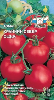 Томат Крайний север СеДеК