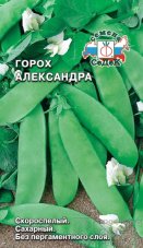 горох Александра ® Седек