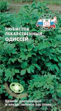 Любисток лекарственный Одиссей седек