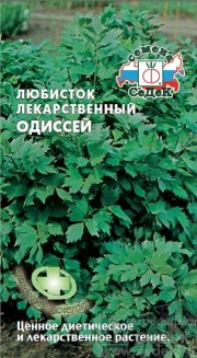 Любисток лекарственный Одиссей седек