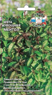 пряность Мята Ментол