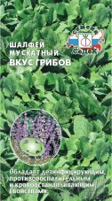 Шалфей мускатный Вкус грибов СЕДЕК