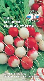 редис Ассорти ранних сортов седек