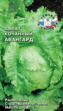 салат Авангард (айсберг) седек