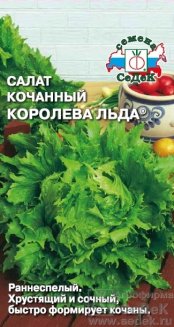 салат Королева Льда (айсберг)® седек