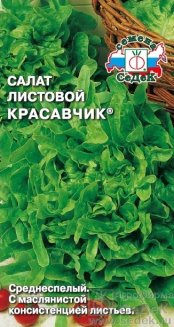 салат Красавчик (листовой)® седек