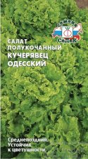 салат Кучерявец Одесский (полукочанный) седек